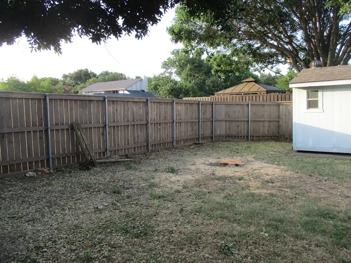 Cleared yard after professional tree removal in Springdale